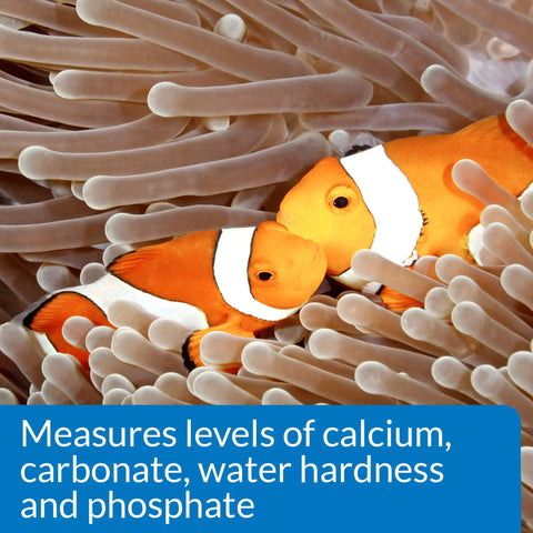 Straight Up Essential Reef Tank Test Kit Gotta Watch Water Quality Accurately Checks Critical Parameters Keeps Your Saltwater Fish Blissful Zero Sweat Marine Maintenance Daily Ocean Care Kit showcases clownfish near anemone.