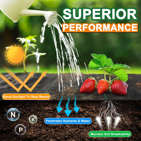 Illustration showing Garden Weed Barrier Landscape Fabric 4 Ft By 50 Ft 2 Pack Premium Weed Control Cloth blocking weeds and allowing water.