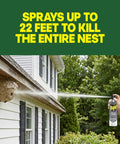 Straight Shooting Flying Insect Killer Spray For Wasps And Hornets With A Powerful Jet Stream Two 14 Oz Cans in use targeting a wasp nest.