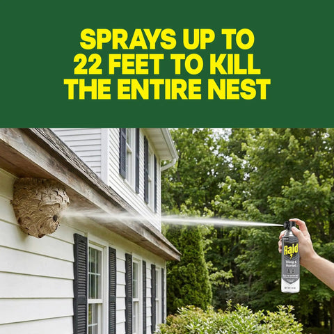 Straight Shooting Flying Insect Killer Spray For Wasps And Hornets With A Powerful Jet Stream Two 14 Oz Cans in use targeting a wasp nest.