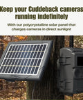 Keep Your Trail Cams Rolling Smooth All Season Long With This Top Rated Heavy Duty Solar Power Bank For CuddeLink And Tracks Two Pack Wildlife Monitoring Setup mounted on a tree.