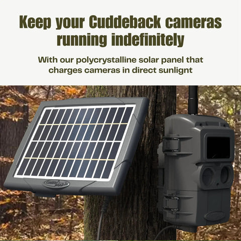 Keep Your Trail Cams Rolling Smooth All Season Long With This Top Rated Heavy Duty Solar Power Bank For CuddeLink And Tracks Two Pack Wildlife Monitoring Setup mounted on a tree.