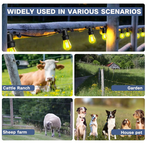 Dang Solid Heavy Duty Screw In Electric Fence Insulators 30 Pack With Timber Post Brackets shown in cattle ranch and sheep farm settings.