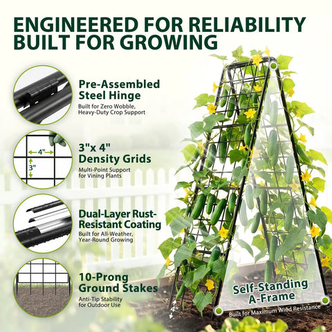 Diagram of Heavy Duty 2 Pack Adjustable A Frame Trellis for Climbing Plants Outdoor with cucumbers and feature highlights