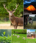 Two Pack Solar Powered Game Camera With 4K Video And 64MP Shots, deer standing in tall grass among trees.