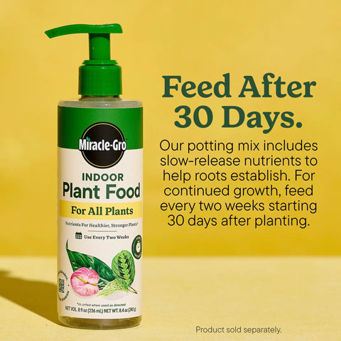 Miracle-Gro Indoor Plant Food bottle with green pump, 8.4 oz, for all plants, promoting root establishment and growth.