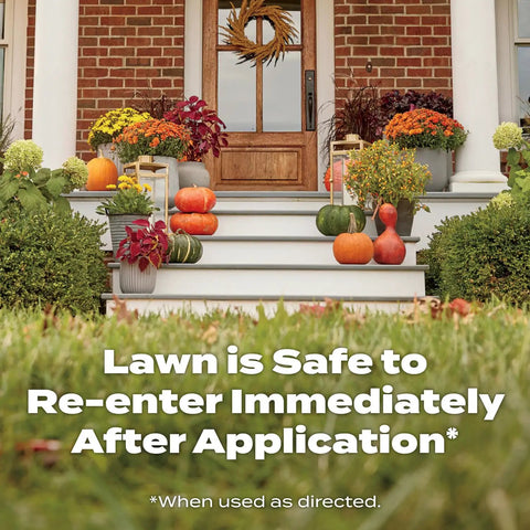 Fall Lawn Fertilizer Sets Up Solid Roots For Serious Recovery From Summer Slump And Heat Stress, with decorated steps and pumpkins.