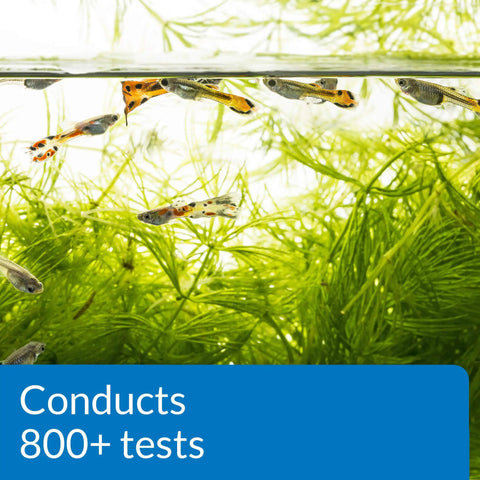 Freshwater Aquarium Test Kit Has 800 Tests For Ph Ammonia Nitrite And Nitrate To Maintain Safe Crystal Clear Water with colorful fish and aquatic plants