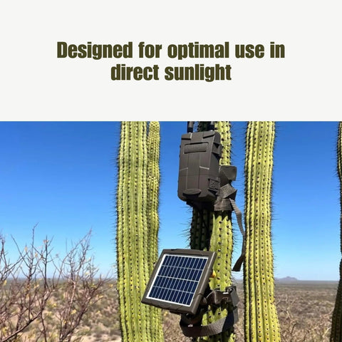 Keep Your Trail Cams Rolling Smooth All Season Long With This Top Rated Heavy Duty Solar Power Bank For CuddeLink And Tracks Two Pack Wildlife Monitoring Setup mounted on a cactus under direct sunlight.