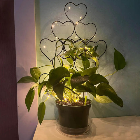 Black stackable metal trellis with heart shapes in small pot, supporting climbing plant, enhancing decor with lights.