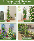 Obelisk Garden Trellis For Climbing Plants 6 Ft Rustproof Plastic Coated Metal Vine Support Cage For Pots No Fuss Ideal For Morning Glory Clematis Rose Indoors Or Outdoors Weatherproof UV Resistant Plant Support in various settings: balcony, indoor, garden, raised beds.