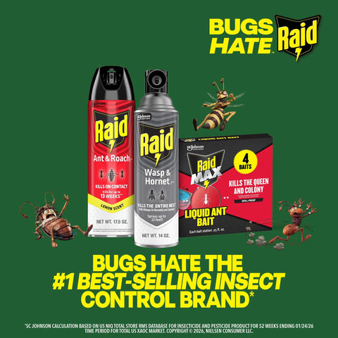 Straight Shooting Flying Insect Killer Spray For Wasps And Hornets With A Powerful Jet Stream Two 14 Oz Cans on display.