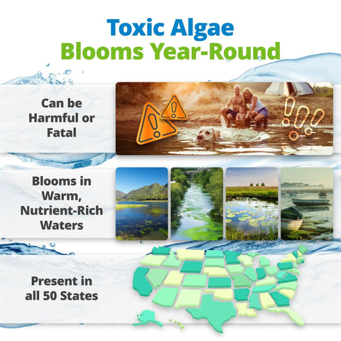 Toxic Algae Blooms Year-Round image with warnings and scenic views of affected waters and a US map showing presence, Blue Green Algae And Cyanobacteria Test Kit For Backyard Ponds Delivers No Sweat Application Plus Straight Shooter Accuracy To Keep Your Family Secure On Their Private Waterfront Retreat Year Round.