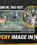 Wildlife photo captured by Edge 2 Cellular Trail Camera With Nationwide 4G LTE Auto Connect, 36MP Photos, 1080P Video With HD Audio