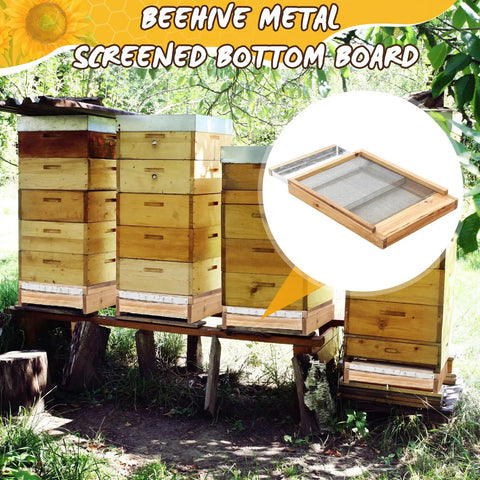 3 Pack 10 Frame Beehive Metal Screened Bottom Boards With Entrance Reducers set in apiary beeyard setting.