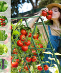 Yard-Ready Adjustable A-Frame Garden Trellis for Cucumbers and Climbing Plants supporting tomatoes, with net and plant clips.