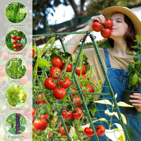 Yard-Ready Adjustable A-Frame Garden Trellis for Cucumbers and Climbing Plants supporting tomatoes, with net and plant clips.