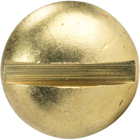 No Nonsense Brass Wood Screws Slotted Round Heads Size Two Deep Coarse Threads For Diy Woodworking And Shop Repair Dead On Hardware Collection Foolproof Strong Grip For Your Next Big Build Honest To Goodness Quality One Hundred Pack - Close-up of slotted round head screw