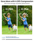 Comparison of image quality between H.265 and H.264 showing a boy running with a dog; H.265 offers smoother performance.