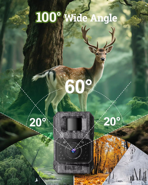 Top Shelf Solar Trail Camera For Wildlife Watching And Hunting Shoots Crisp 4K Video With 64MP Resolution with deer in nature.
