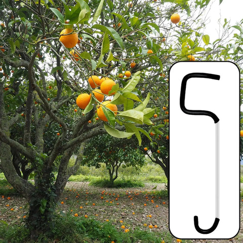 30 Pack Fruit Tree Limb Spreader With Hose Protection, 7-inch branch pullers shown next to fruit tree, product example.