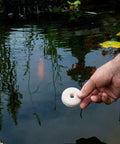 Hand holding Organic Mosquito Dunk Larvicide Outdoor Pond And Bird Bath Bug Stopper above a pond water surface.