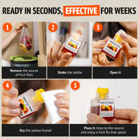 Indoor Fruit Fly Trap Killer Station With Natural Liquid Bait For Kitchen Counters Trash Cans And Pantry Food Fast Acting Pest Control That Works Like A Dream Total Game Changer Four Pack Bundle instructions for use steps shown