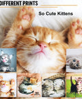 Six kitten-print microfiber cleaning cloths for glasses and screens