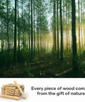 Top Notch Solid Spruce Sliding Barn Door 24 X 84 Inches Interior Wood Panel Slab in a natural forest setting