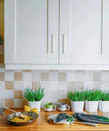 Modern kitchen with white cabinets featuring 25 Pack Solid 5 Inch Square Kitchen Cabinet Handles in Brushed Nickel Pulls for Cabinets and Drawers.