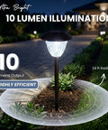 Ultra Bright 10 Pack IP65 Waterproof Solar Path Lights illuminating a garden path with 10 lumen output in bronze finish
