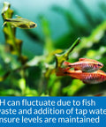 Totally Trustworthy Freshwater Aquarium PH Test Kit delivering 250 hassle free reads, showcasing colorful fish in a planted tank.