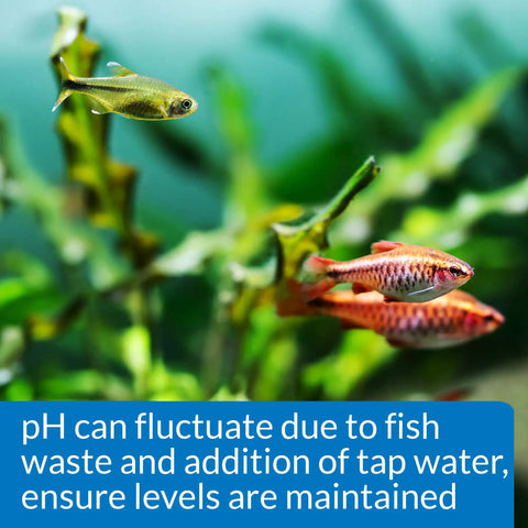 Totally Trustworthy Freshwater Aquarium PH Test Kit delivering 250 hassle free reads, showcasing colorful fish in a planted tank.