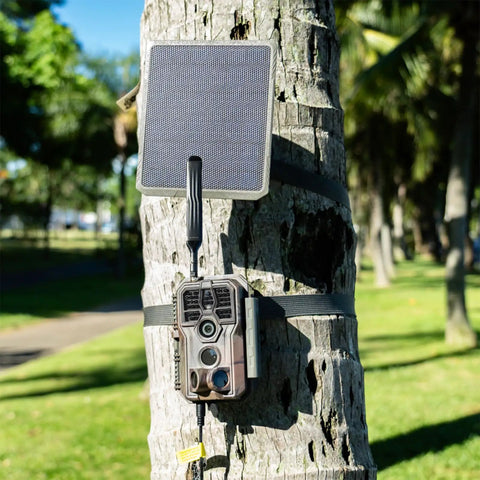 SP300 3.5W Solar Panel for Trail Camera Lithium Battery Charger mounted on tree with trail camera in rugged outdoor setting.