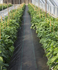Greenhouse rows with Heavy Duty Weed Barrier Fabric 4 By 300 Feet Woven Landscape Ground Cover For Gardens And Lawns Tough As Nails Weed Control Geotextile Mat Black Yard Shield For Sun And Rain.