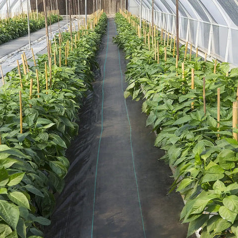 Greenhouse rows with Heavy Duty Weed Barrier Fabric 4 By 300 Feet Woven Landscape Ground Cover For Gardens And Lawns Tough As Nails Weed Control Geotextile Mat Black Yard Shield For Sun And Rain.