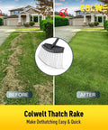 Before and after lawn image with 61-Inch Dethatcher Rake For Lawns With Thin Curved Spring Steel Tines; visible tool illustration