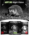Top Shelf Solar Trail Camera For Wildlife Watching And Hunting shows a hedgehog in HD night vision in a natural setting.