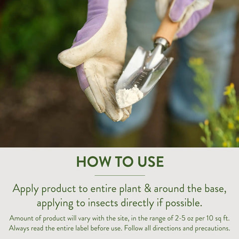 Gardener holding trowel with Crawling Insect Killer With Diatomaceous Earth For Organic Home Garden Use, background plants