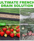 7oz Non Woven Geotextile Fabric With Stakes For French Drains 3x60ft High Permeability Drainage Fabric displayed with strawberries.