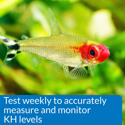 Easy Peasy Carbonate Hardness Kh Test Kit For Fresh And Saltwater Fish Tanks Plus Household Tap Water features a vibrant fish for KH level monitoring.