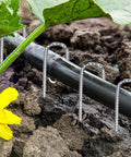 Heavy Duty 12 Inch Galvanized J Hook Ground Anchors Set Built To Last For Tents Plants Landscape Fabric And Artificial Turf Anti Rust Stakes That Stand Up To Wind And Weather securing irrigation hose
