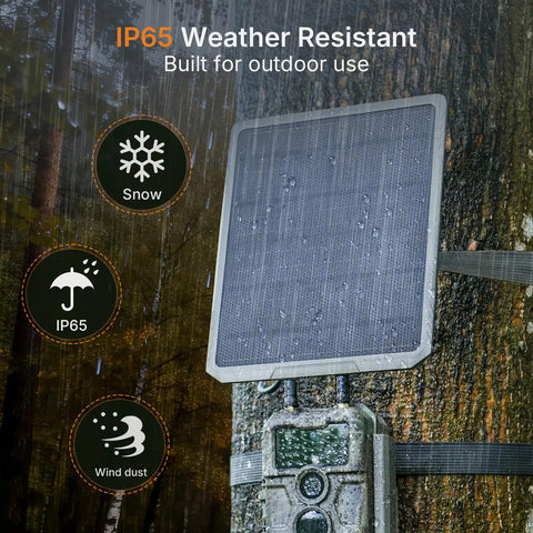 Heavy Duty 10 Watt Solar Panel For Trail Cameras With Lithium Battery Compatibility Durable outdoor charging solution mounted on a tree.