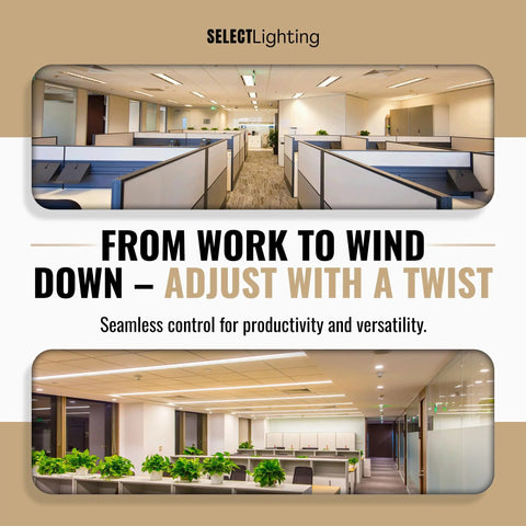 Image showing modern office spaces with adjustable lighting, featuring desks and greenery, highlighting versatility in workspace.