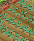 Heavy Duty Biodegradable Paper Weed Barrier Roll 1.31x50 Ft For Lawn And Garden shown in use with plants growing through