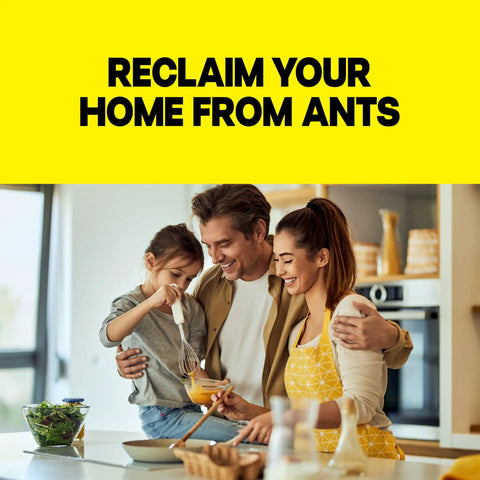 Family cooking together in a kitchen, promoting Pro Grade Indoor Ant Colony Buster Bait Stations For Households That Straight Up Wipe Out Worker Ants And Queen Dependable Gel Formula Lasts Up To Three Months Child Resistant Twist Lock Eight Count Kit.