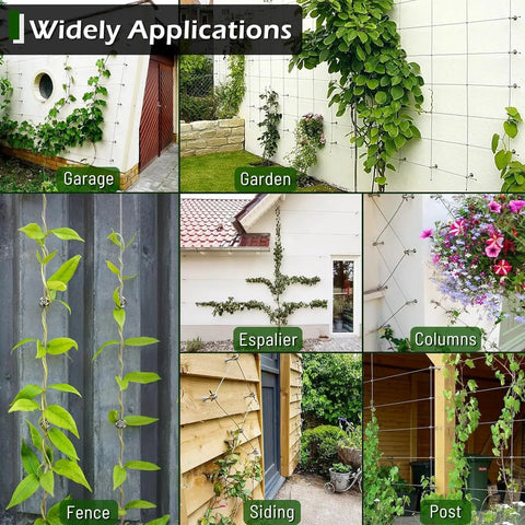 Heavy Duty Tension Wire Trellis Kit For Outdoor Gardens featuring climbing plants on walls, fences, and garden structures.