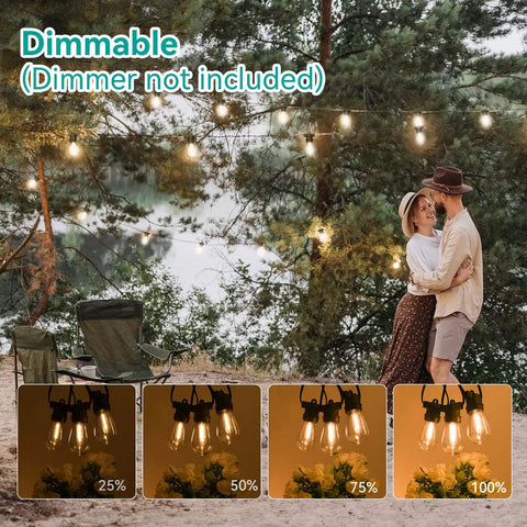 LED Outdoor String Lights 48 Feet With 22 Dimmable Edison Bulbs Shatterproof Waterproof Patio Cafe Bistro Backyard Lighting