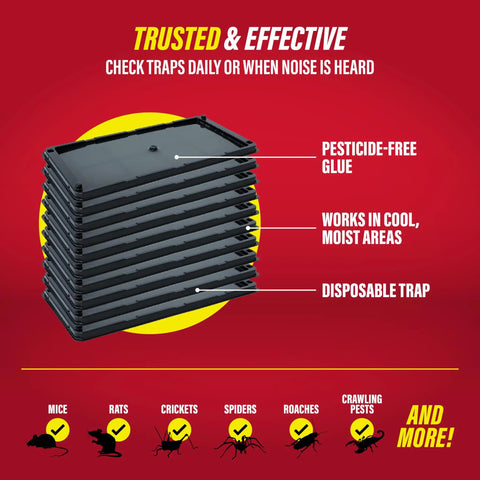 Heavy Duty Rat And Mouse Glue Traps 10 Pack Odorless Sticky Pest Control Pad stacked, showcasing pesticide-free glue for pest management.