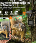 Solar Trail Camera Features a Rad 1.77 Inch Screen With 7800mAh Battery And Sick Wifi Bluetooth App Access For Haul Tracking And Wildlife Watching displaying a squirrel in focus on a smartphone screen.